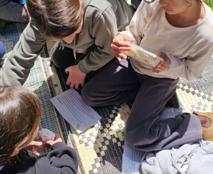 תלמידים חוקרים ממצאים מהטבע